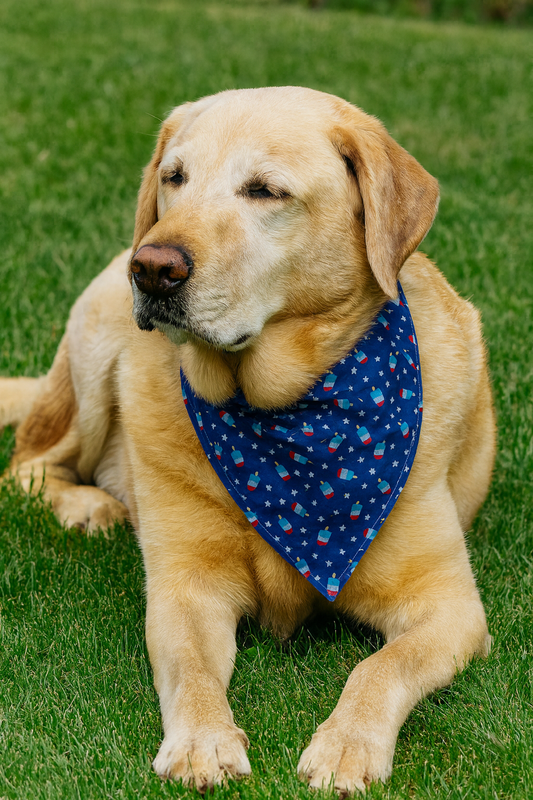4th of July Dog Bandana