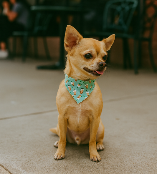 Iced Coffee Dog Bandana