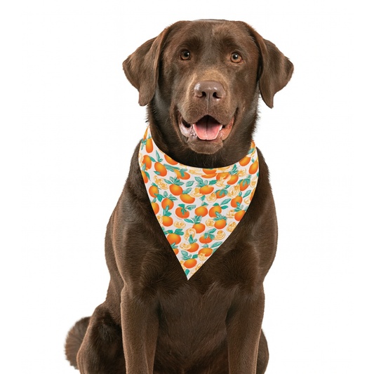 Orange Blossom Dog Bandana