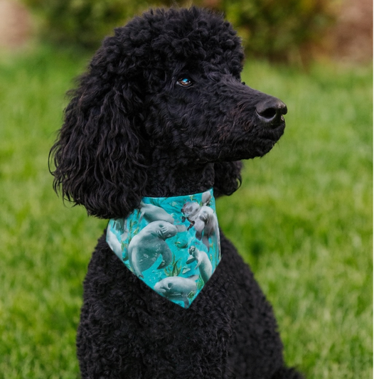 Manatee Dog Bandana