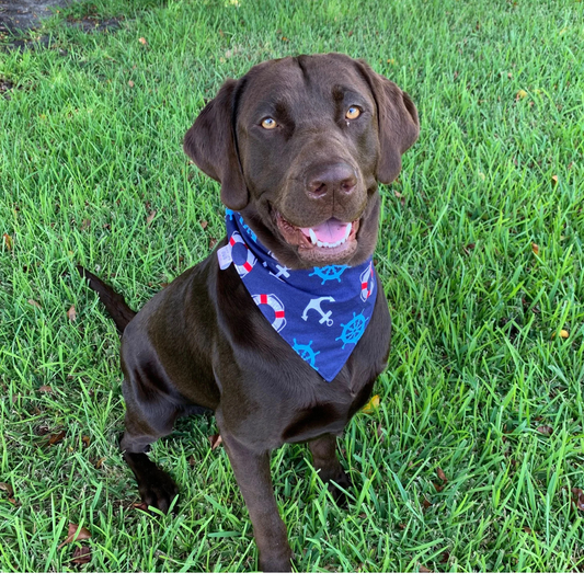 Nautical Dog Bandana