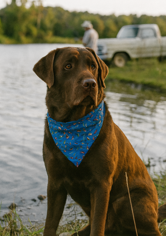 Gone Fishin' Dog Bandana