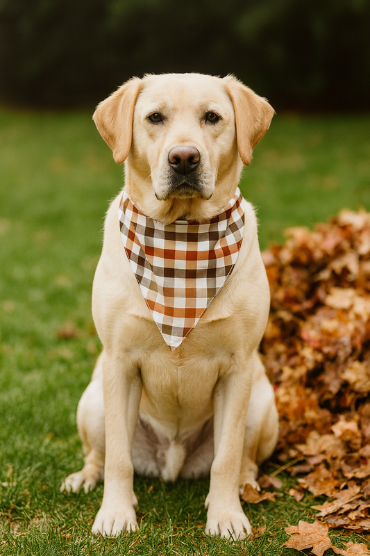 Fall Plaid Dog Bandana