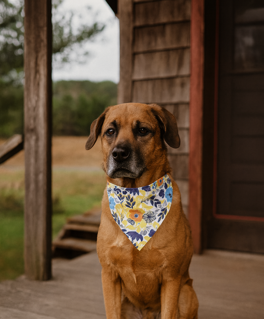 Blue and Yellow Floral Dog Bandana