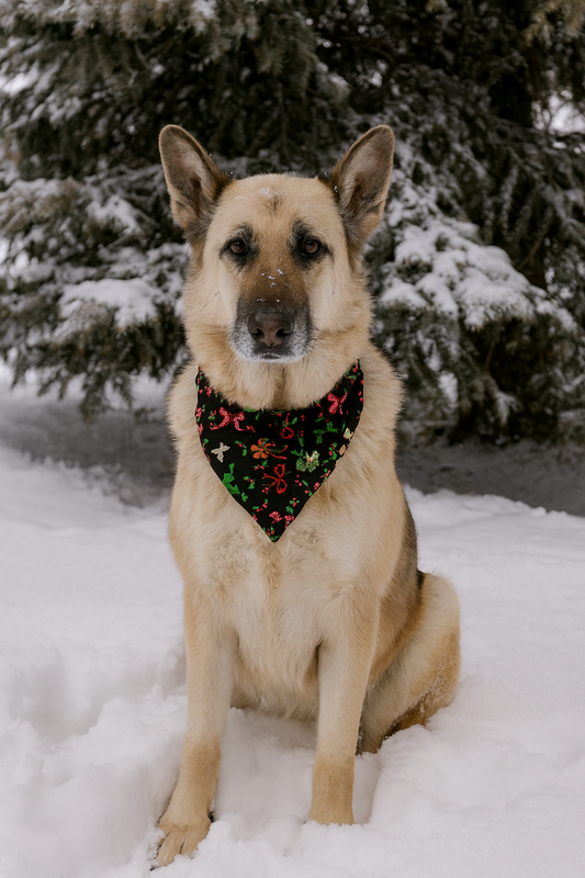 Christmas Bows Dog Bandana