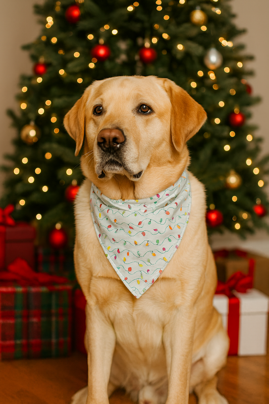 Holiday Lights Dog Bandana