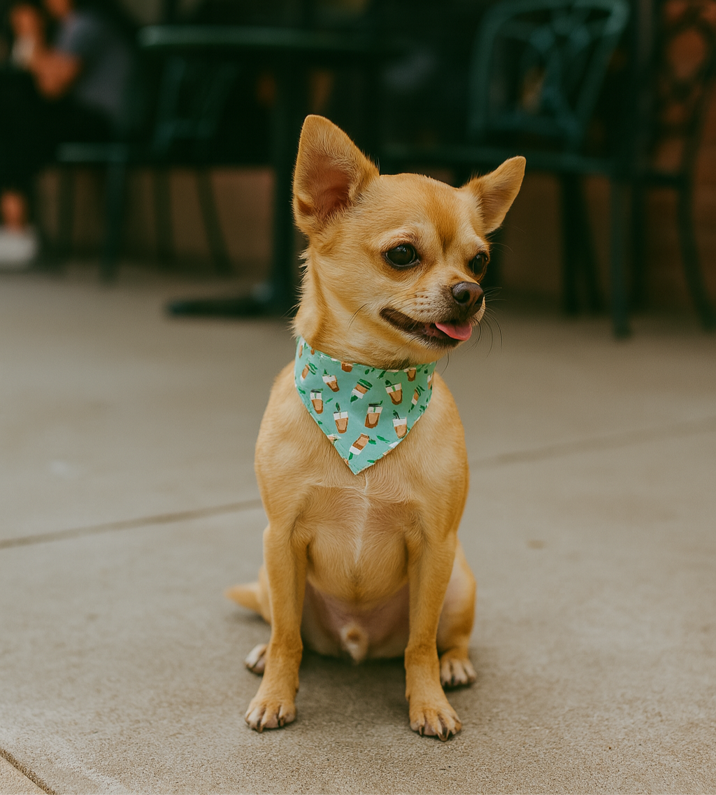 Iced Coffee Dog Bandana