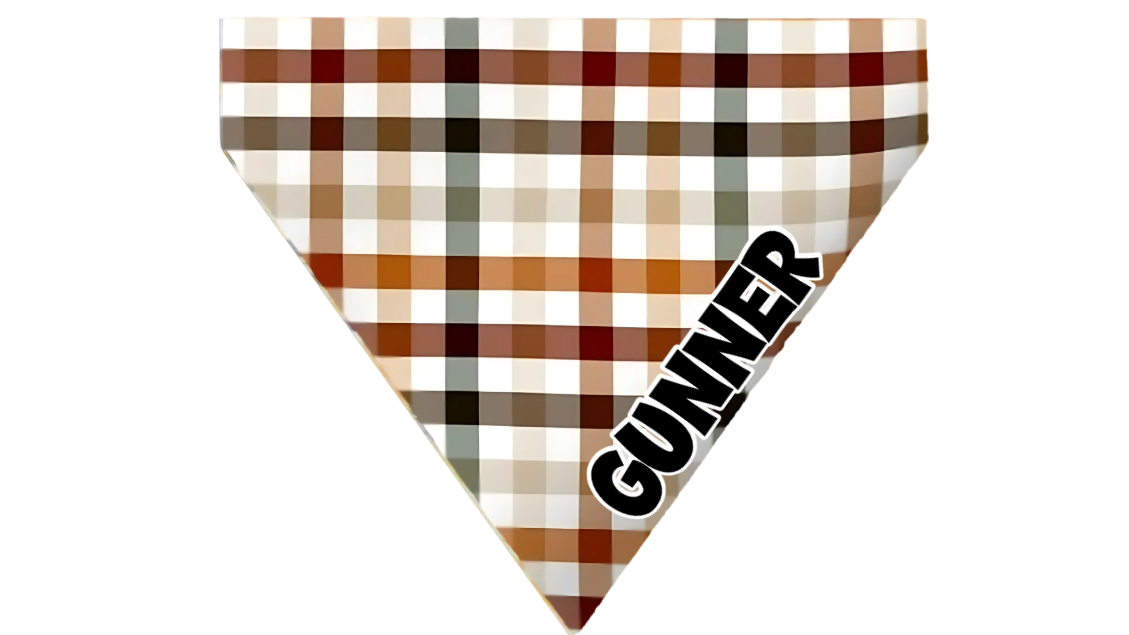 Fall Plaid Dog Bandana