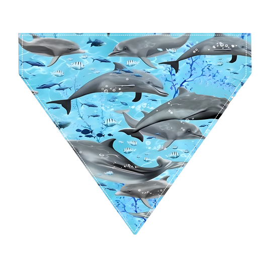 Dolphins Dog Bandana