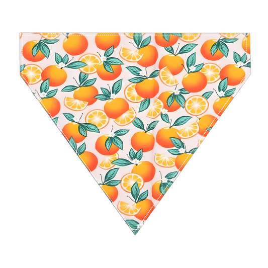 Orange Blossom Dog Bandana