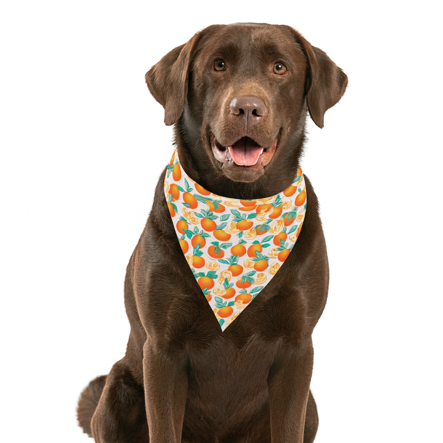 Orange Blossom Dog Bandana