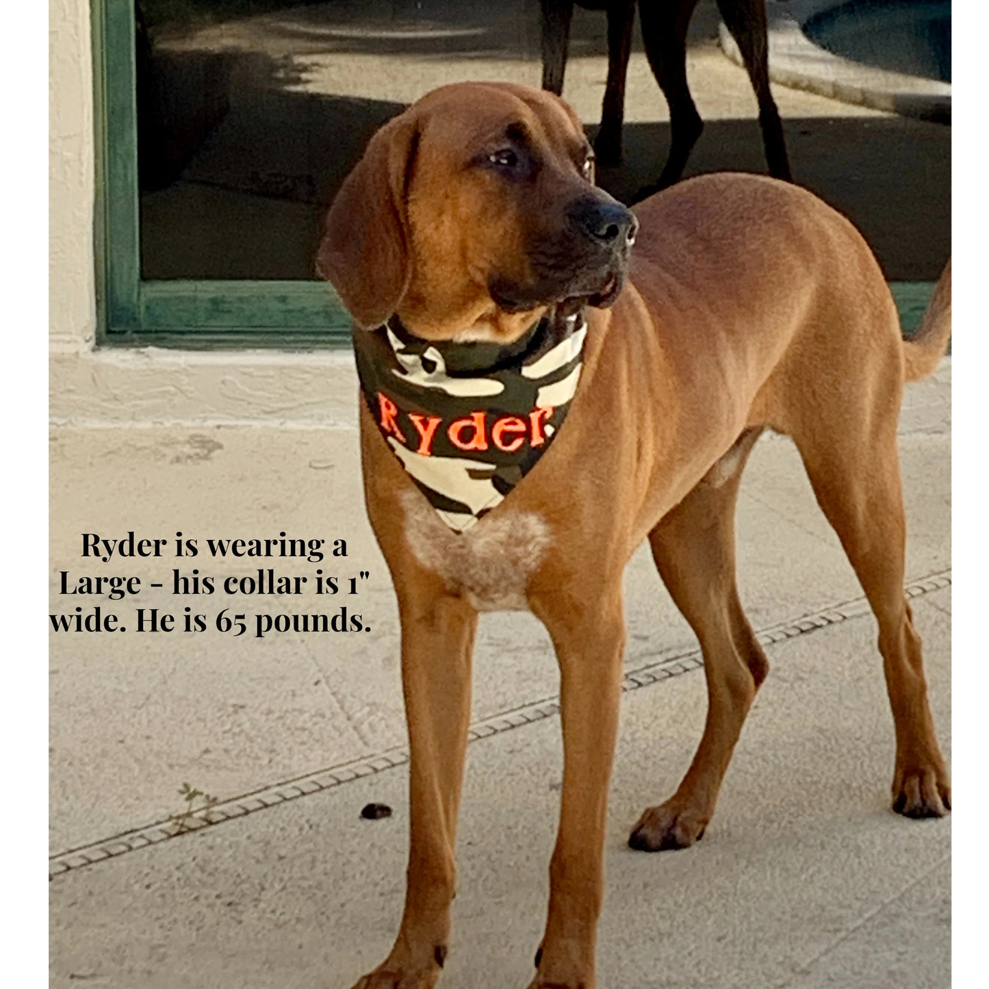Camouflage Dog Bandana