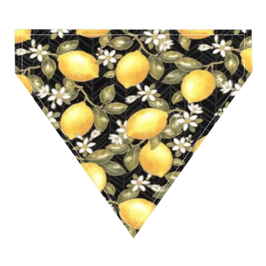 Lemon Drop Dog Bandana