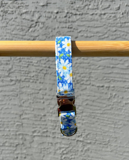 White Daisies Fabric Dog Collar