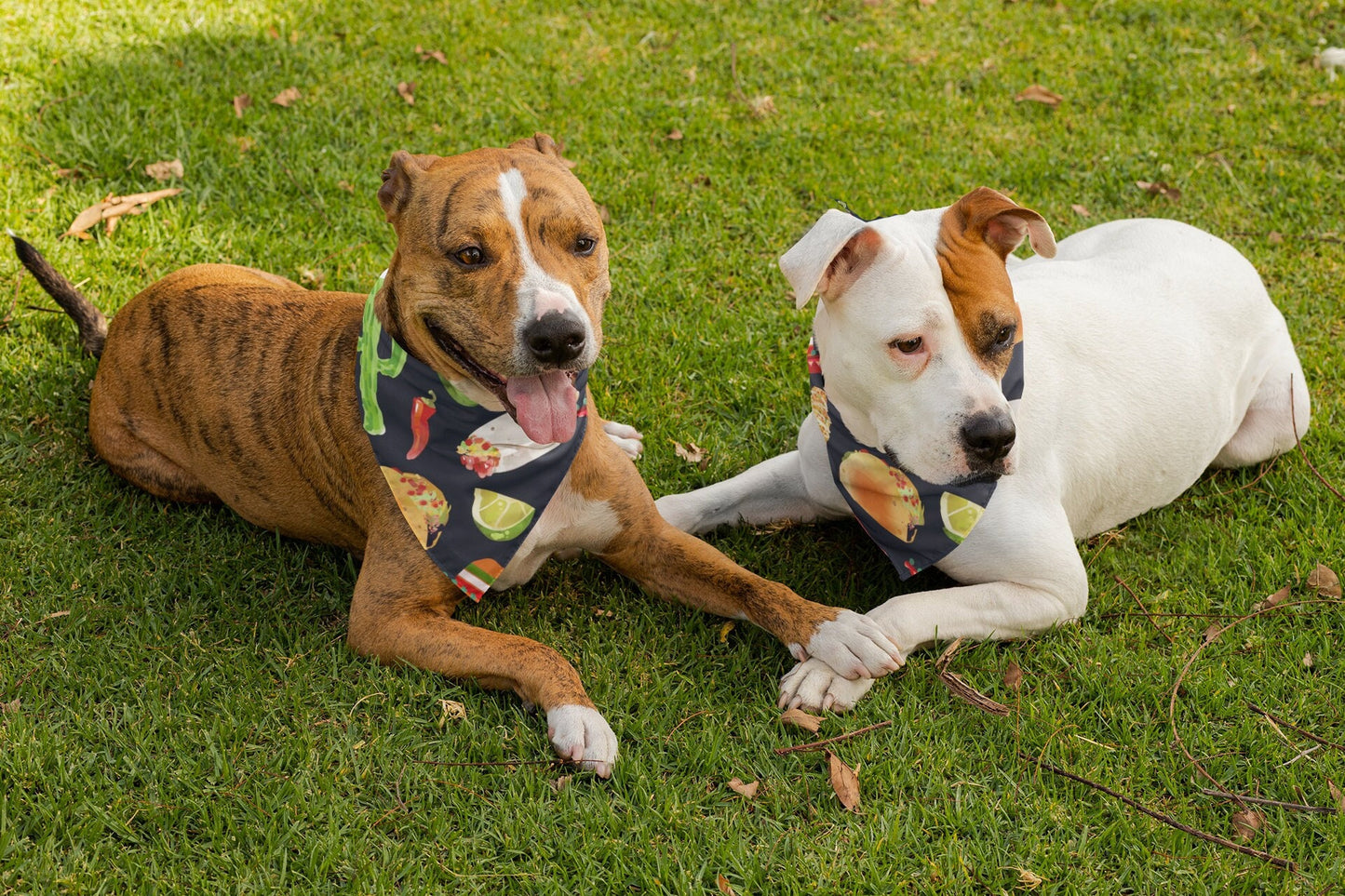 Taco Tuesday Dog Bandana